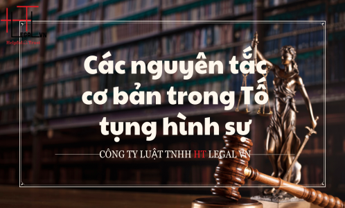 NHỮNG NGUYÊN TẮC CƠ BẢN TRONG TỐ TỤNG HÌNH SỰ  (CÔNG TY LUẬT UY TÍN TẠI TP HỒ CHÍ MINH, VIỆT NAM)